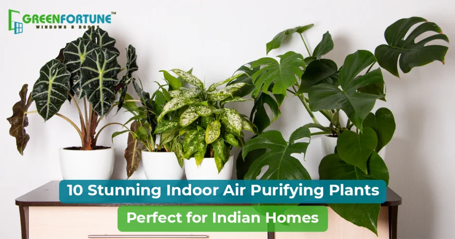 10 Best Indoor Air Purifying Plants for Modern Indian Homes