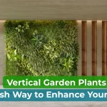vertical garden plants