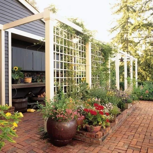 vertical garden plants