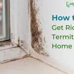 Get Rid of Termites