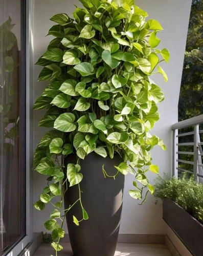 10 Best Indoor Air Purifying Plants for Modern Indian Homes