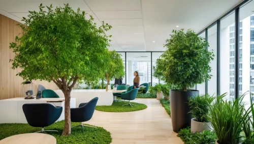 Meaning of Biophilic Design