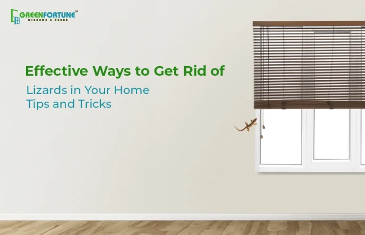 rid of lizards in home