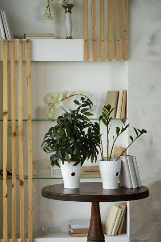 cafe kitchen design