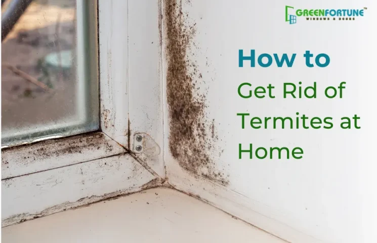 Get Rid of Termites