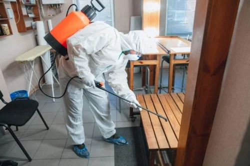 Best Ways to Prevent Termite Damage to Your Furniture 