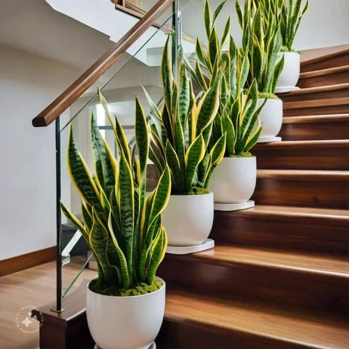 10 Best Indoor Air Purifying Plants for Modern Indian Homes
