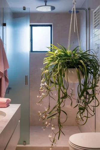 10 Best Indoor Air Purifying Plants for Modern Indian Homes