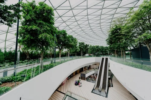 Biophilic design